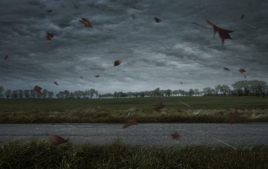 Gehälter, Urteile, Konzepte – stürmische Aussichten für die zweite Jahreshälfte