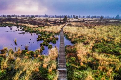 Im Moor sollen Umwelt- und Klimaschutz mit Landwirtschaft versöhnt werden – nur wie?