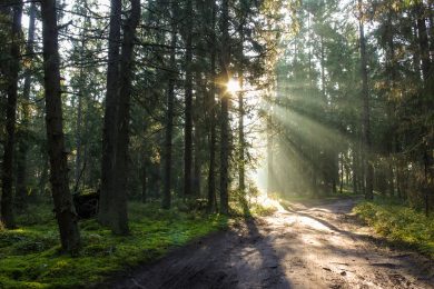 Die Woche in Niedersachsen (KW 14)
