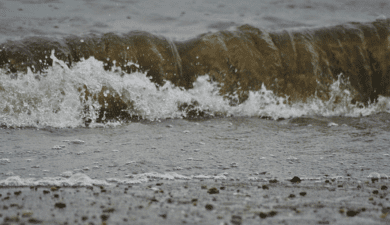 Viele Kite-Surfer am Steinhuder Meer sind uneinsichtig