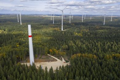 Mehr Windkraft im Wald? Forstministerin Staudte vertröstet die Waldbesitzer