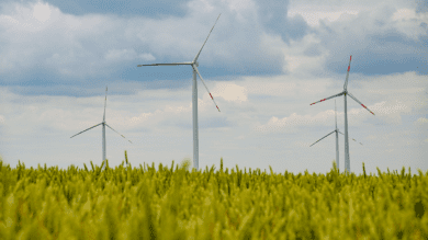 Ringen um Windräder: Kommunen pochen auf pünktliche Überweisung der Abgabe