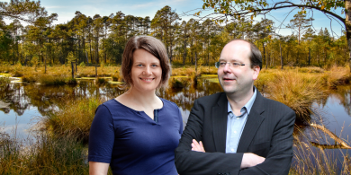 Grüne wollen Landesgesellschaft den Moorschutz in Niedersachsen übertragen